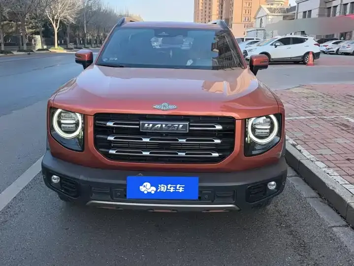 Haval Big Dog 2021 1.5T DCT Two-Drive Horse Dog Edition 2