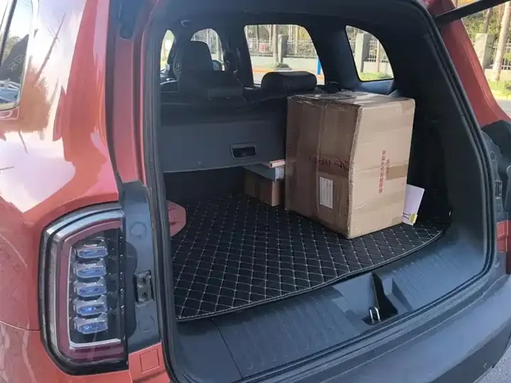 Haval Big Dog 2021 1.5T DCT Two-Drive Horse Dog Edition 4
