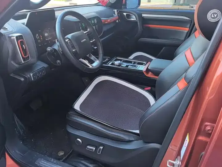Haval Big Dog 2021 1.5T DCT Two-Drive Horse Dog Edition 9