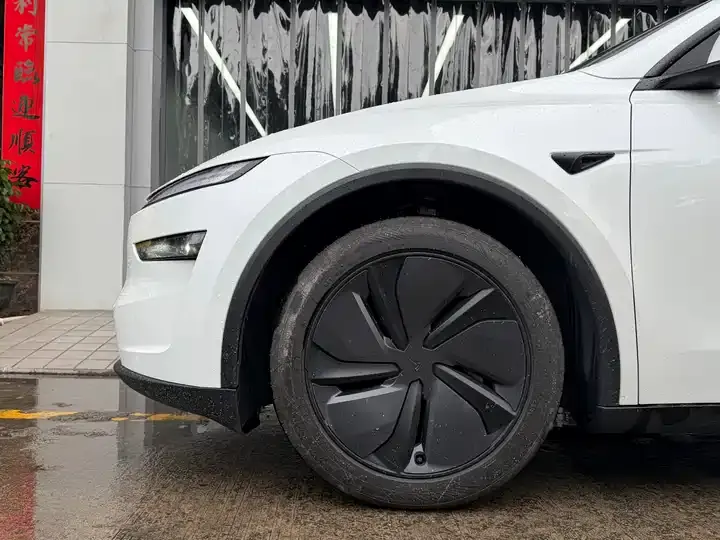 2025 Model Y Rear-Wheel-Drive Version 6