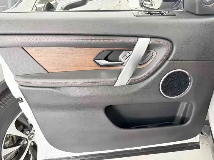 Found Sports 2021 249PS R-Dynamic S Performance Edition 12