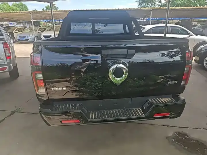 Gun 2023 2.0T Commercial Edition Automatic Diesel Four-wheel Drive Elite Long Box GW4D20M 6