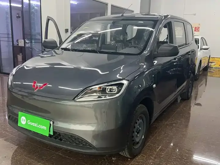 WuLing Hongguang New Energy 2024 Pure Electric Edition 300KM Standard 2