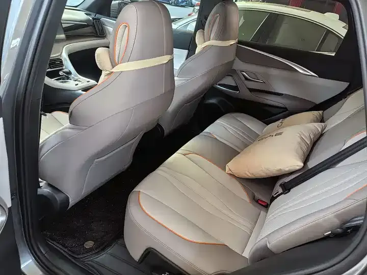 Song Pro New Energy 2024 Glory Edition DM-i 110KM Excellence 5