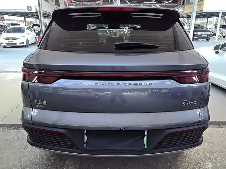 Song Pro New Energy 2024 Glory Edition DM-i 110KM Excellence 8