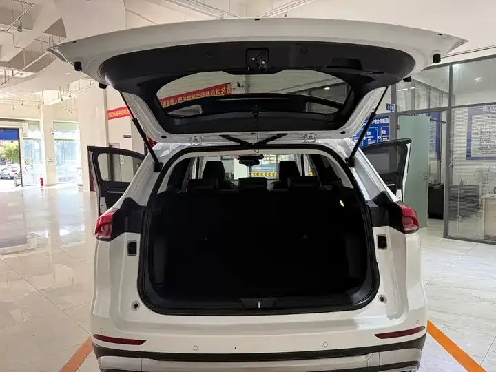 Haval H6 2021 National Tide Edition 1.5T Auto Champion Edition 11