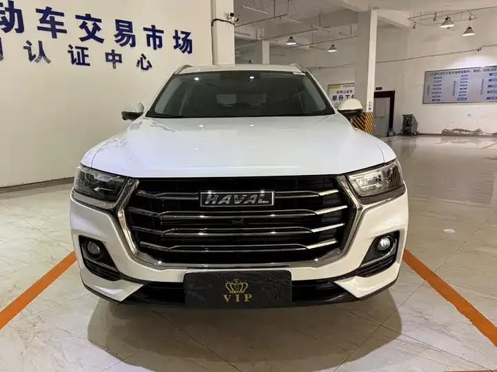 Haval H6 2021 National Tide Edition 1.5T Auto Champion Edition 2