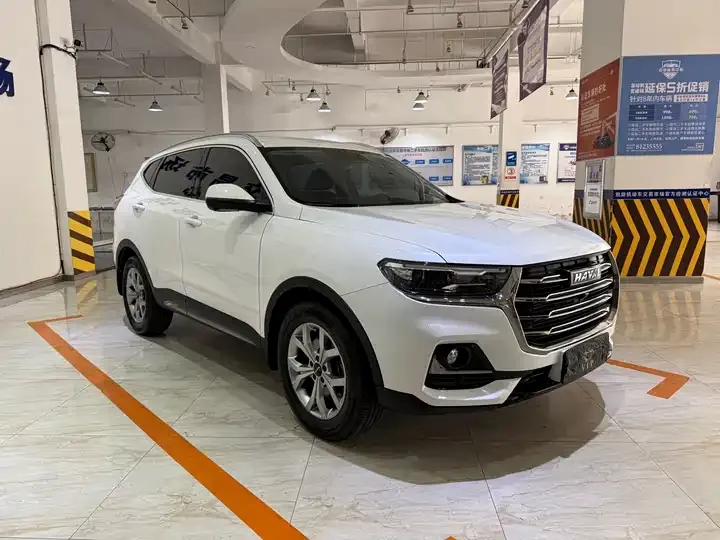 Haval H6 2021 National Tide Edition 1.5T Auto Champion Edition 3