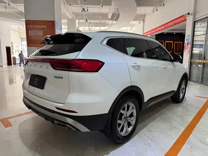 Haval H6 2021 National Tide Edition 1.5T Auto Champion Edition 4