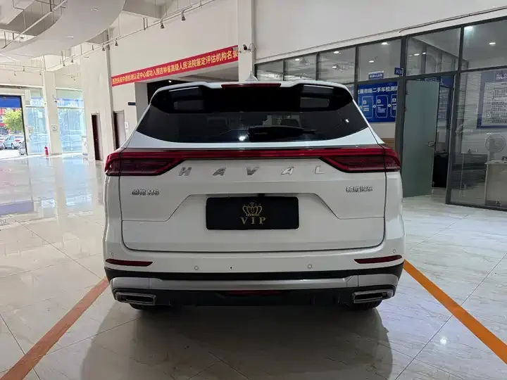 Haval H6 2021 National Tide Edition 1.5T Auto Champion Edition 5