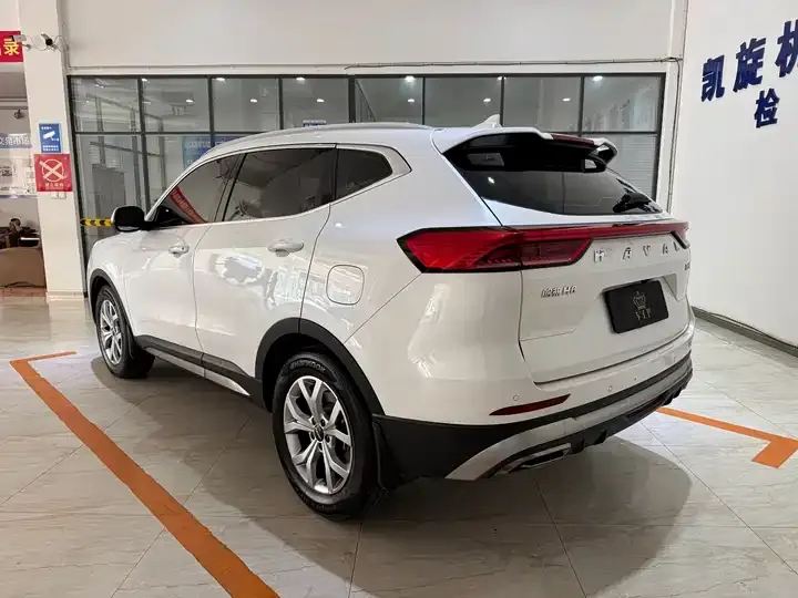 Haval H6 2021 National Tide Edition 1.5T Auto Champion Edition 6