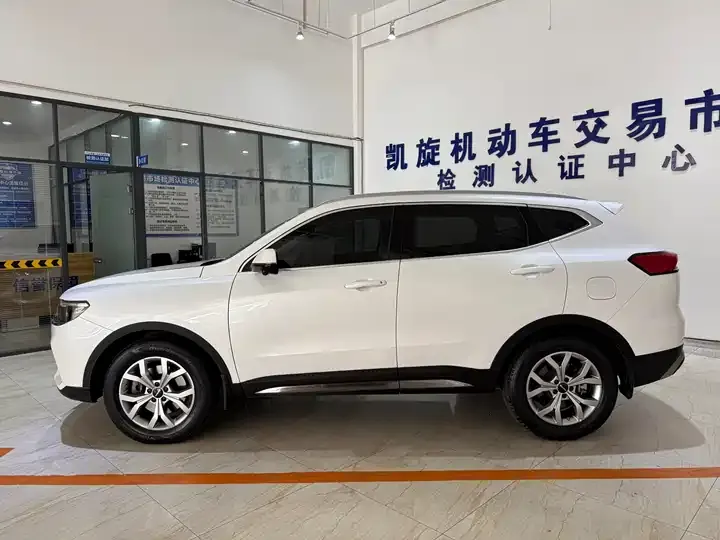 Haval H6 2021 National Tide Edition 1.5T Auto Champion Edition 7