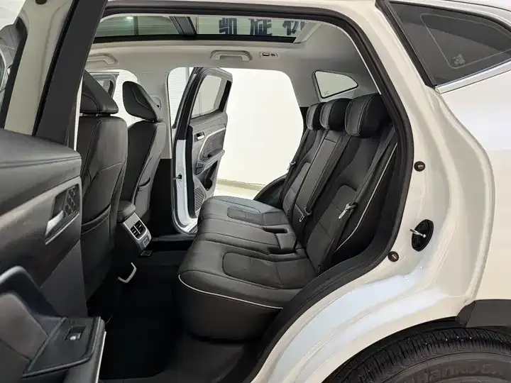 Haval H6 2021 National Tide Edition 1.5T Auto Champion Edition 9