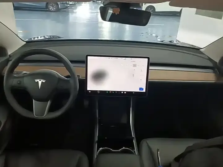 2020 Model 3 Refreshed Standard Range Rear-Wheel Drive Upgrade Version 10