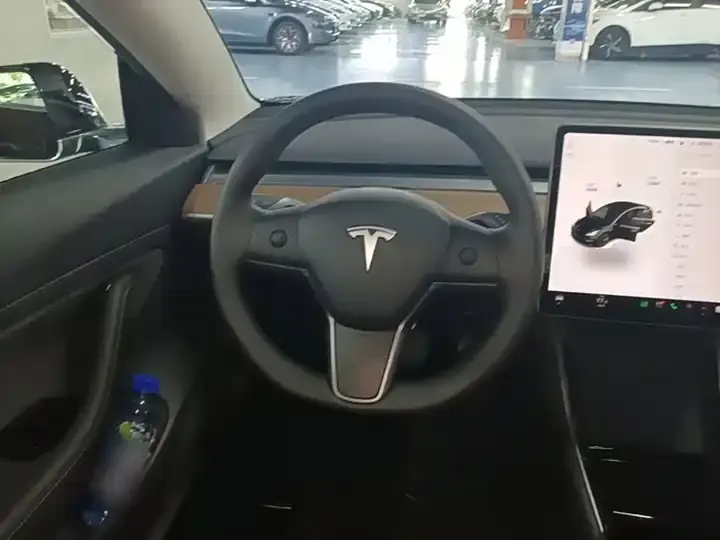 2020 Model 3 Refreshed Standard Range Rear-Wheel Drive Upgrade Version 11