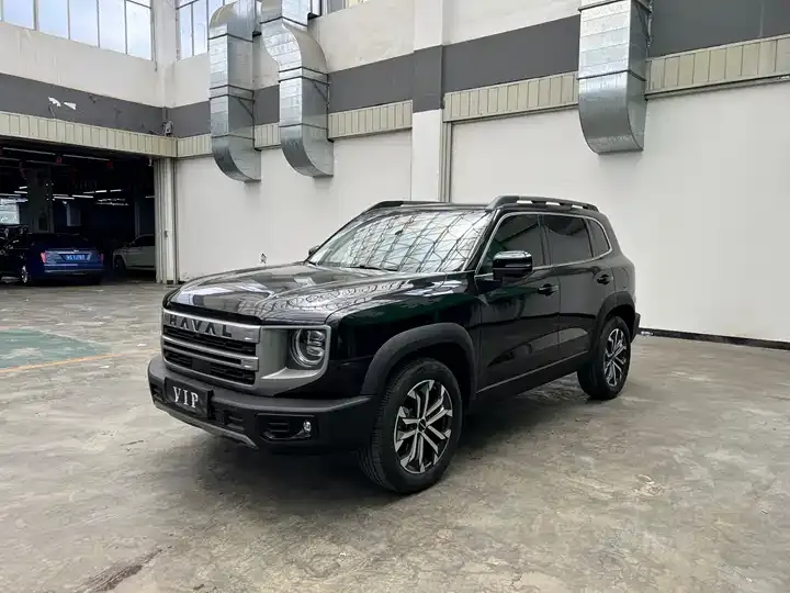 Haval Big Dog 2024 1.5T DCT Labrador Edition - View 1