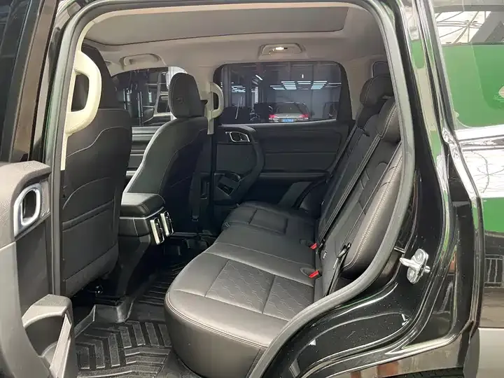 Haval Big Dog 2024 1.5T DCT Labrador Edition 4