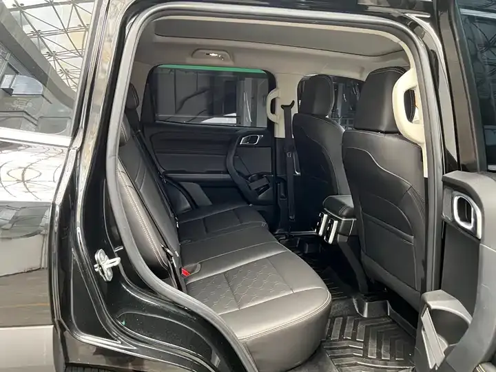 Haval Big Dog 2024 1.5T DCT Labrador Edition 5