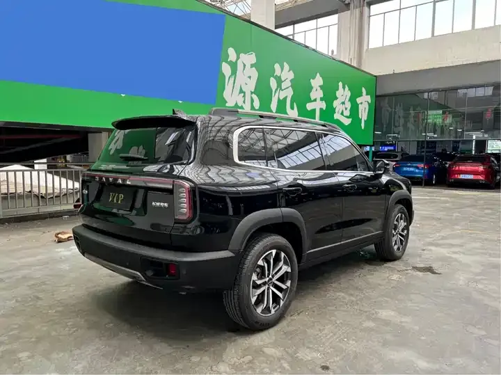 Haval Big Dog 2024 1.5T DCT Labrador Edition 7
