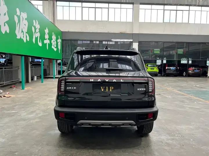 Haval Big Dog 2024 1.5T DCT Labrador Edition 8