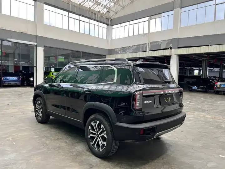 Haval Big Dog 2024 1.5T DCT Labrador Edition 9
