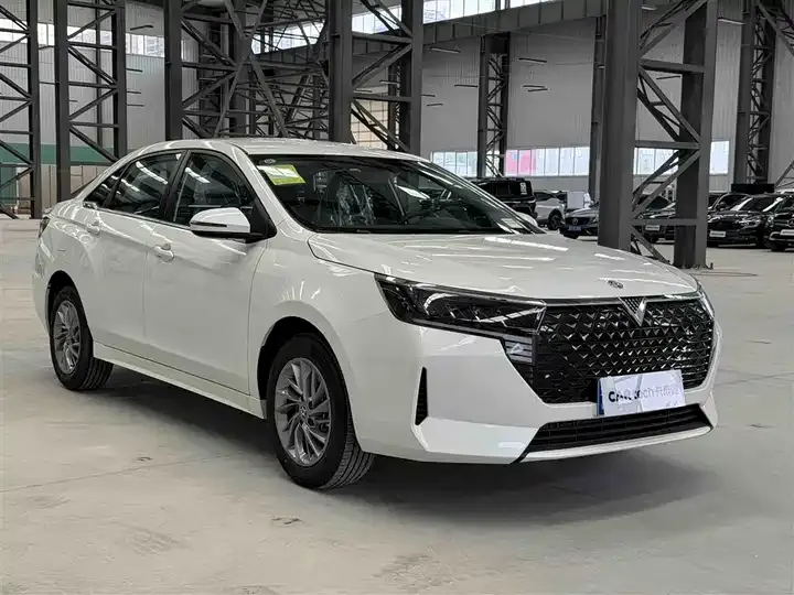 Venucia D60 2023 PLUS 1.6L XE CVT Tide Collar Edition 2