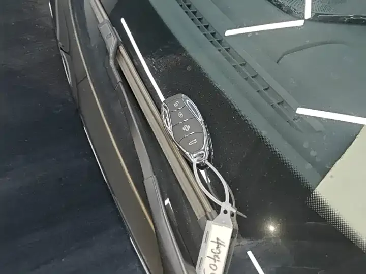 HongQi HS3 PHEV 2024 115km Edition 9