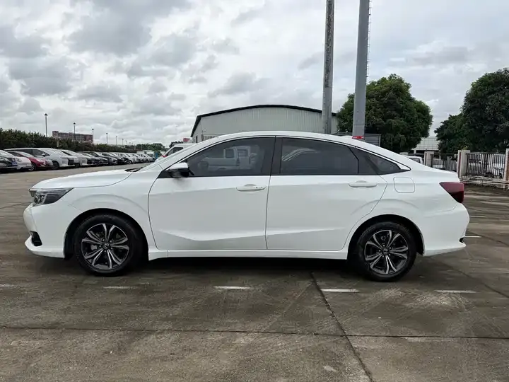 Ling Pai 2022 180Turbo CVT Deluxe Edition 6