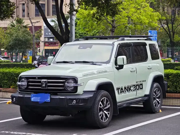 Tank 300 2021 Off-road Edition 2.0T Conqueror 3
