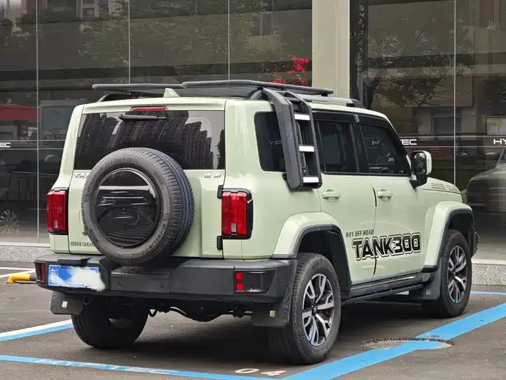 Tank 300 2021 Off-road Edition 2.0T Conqueror 9