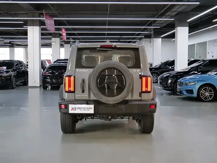 Tank 300 2021 Off-road Edition 2.0T Conqueror 6
