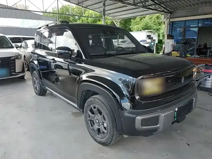 BaoJun Yueyou Plus 2024 Zhizun Edition 4 4