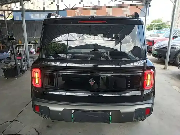 BaoJun Yueyou Plus 2024 Zhizun Edition 4 6