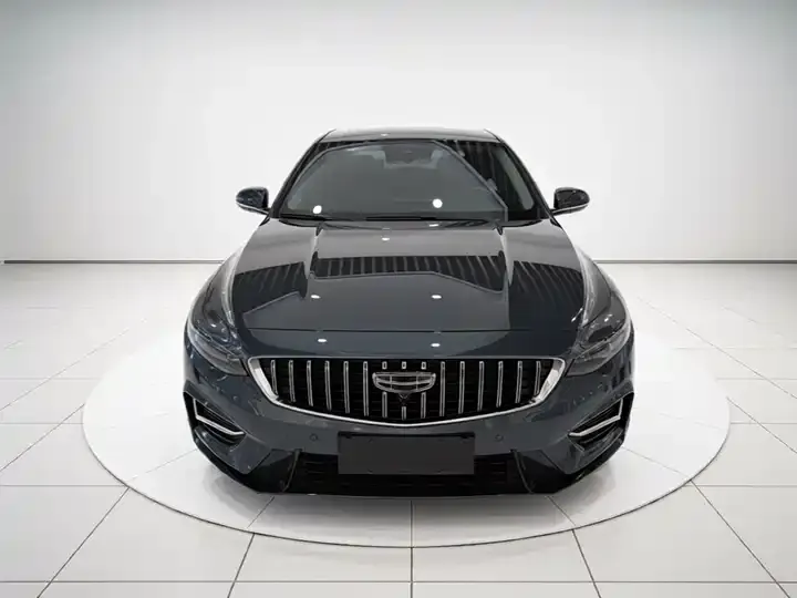 Xingrui 2023 2.0TD Luxury Model 3