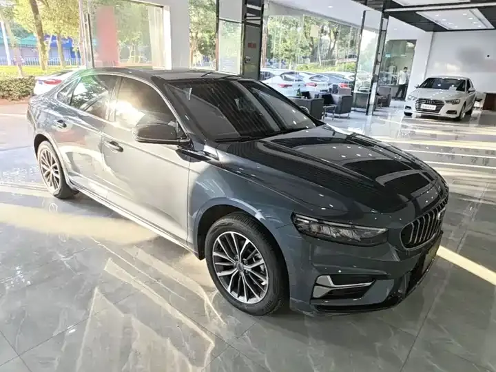 Xingrui 2023 2.0TD Luxury Model 4