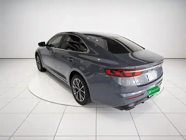 Xingrui 2023 2.0TD Luxury Model 5