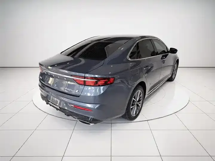 Xingrui 2023 2.0TD Luxury Model 7