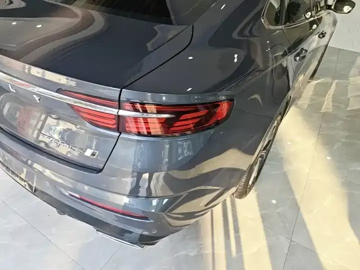 Xingrui 2023 2.0TD Luxury Model 8
