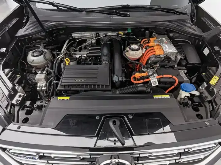 Tan Yue GTE 2020 1.4T Luxury Model 6