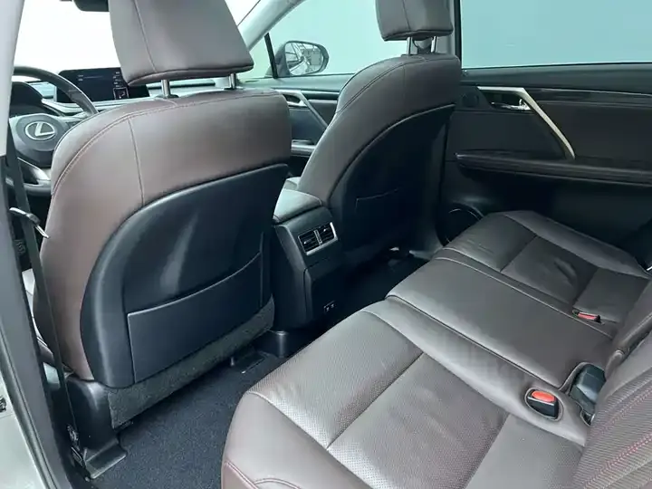 Lexus RX 2021 300 4WD Special Edition 11