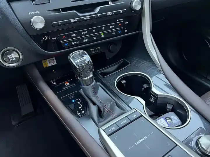 Lexus RX 2021 300 4WD Special Edition 12