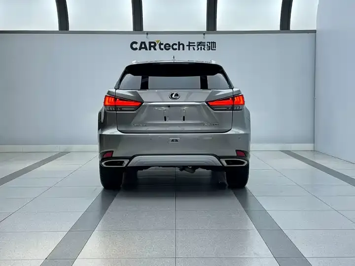Lexus RX 2021 300 4WD Special Edition 3