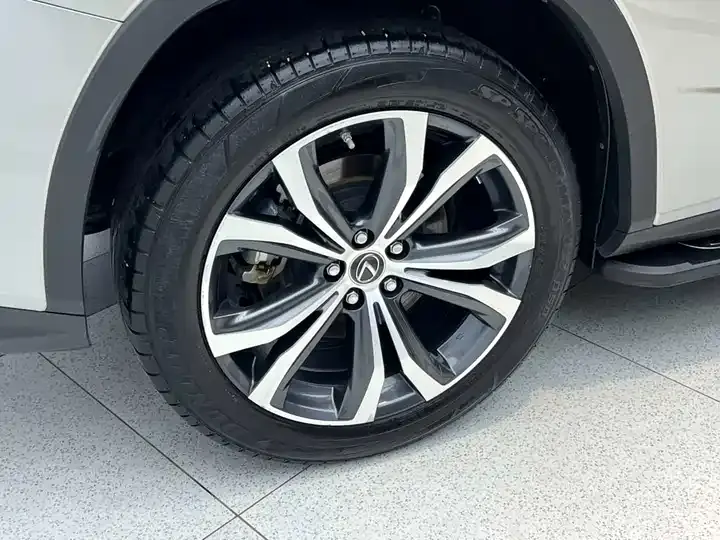 Lexus RX 2021 300 4WD Special Edition 5