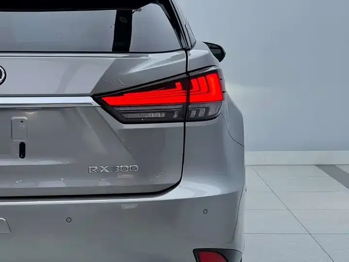 Lexus RX 2021 300 4WD Special Edition 6