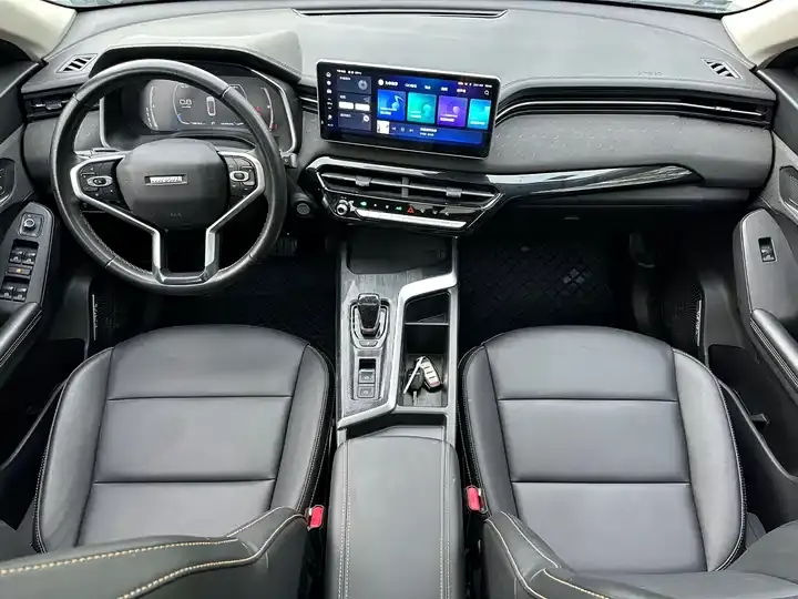 Haval Red Rabbit 2022 Jin Xiang Edition 1.5T Copper Rabbit 10
