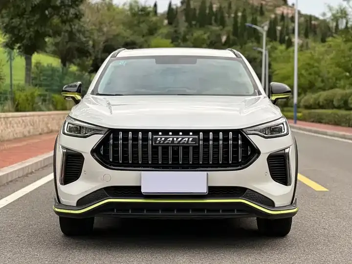 Haval Red Rabbit 2022 Jin Xiang Edition 1.5T Copper Rabbit 2