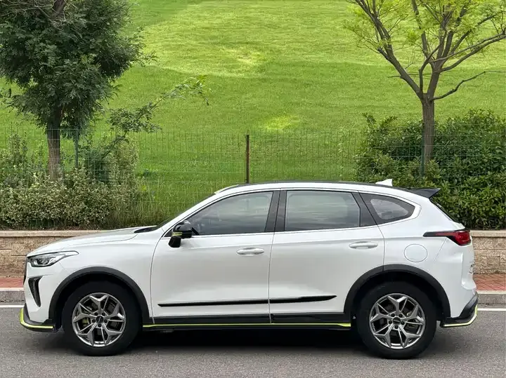 Haval Red Rabbit 2022 Jin Xiang Edition 1.5T Copper Rabbit 4