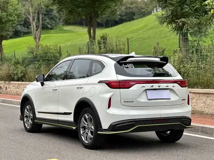 Haval Red Rabbit 2022 Jin Xiang Edition 1.5T Copper Rabbit 5