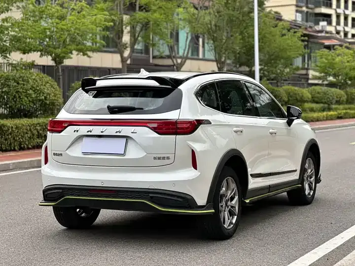 Haval Red Rabbit 2022 Jin Xiang Edition 1.5T Copper Rabbit 7
