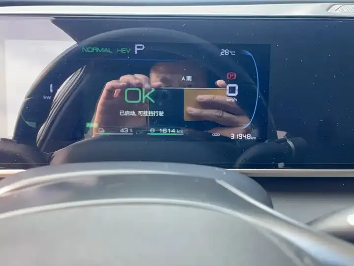 2024 Qin L DM-i 80km Leading Edition 6